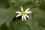 Dcim6601/DSC_2205