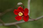 Dcim6601/DSC_2244