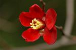 Dcim6601/DSC_2246