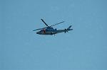 Dcim6603/DSC_2317