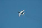 Dcim6603/DSC_2339