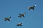 Dcim6603/DSC_2349