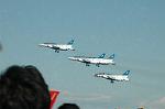 Dcim6604/DSC_2451
