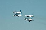 Dcim6604/DSC_2453