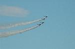 Dcim6604/DSC_2459