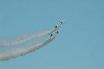 Dcim6604/DSC_2461
