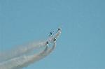 Dcim6604/DSC_2462