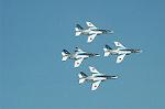 Dcim6604/DSC_2479