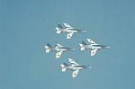 Dcim6604/DSC_2480