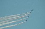 Dcim6604/DSC_2496