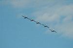 Dcim6604/DSC_2498