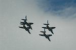 Dcim6605/DSC_2558