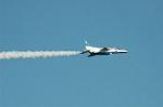 Dcim6605/DSC_2578