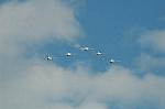 Dcim6606/DSC_2655