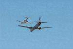 Dcim6612/DSC_4440
