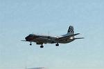 Dcim6612/DSC_4442