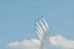 Dcim6613/DSC_4558