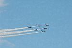 Dcim6613/DSC_4608