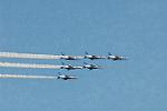 Dcim6613/DSC_4617