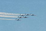 Dcim6613/DSC_4619