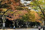 Dcim6614/DSC_7701