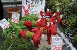 Dcim6614/DSC_7727