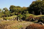 Dcim6615/DSC_7800
