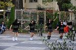 Dcim6615/DSC_7851