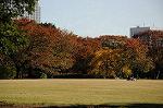 Dcim6617/DSC_7987