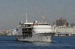 Dcim6619/DSC_8213