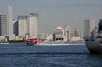 Dcim6619/DSC_8222