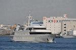 Dcim6619/DSC_8241