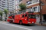 Dcim6619/DSC_8305