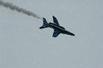 Dcim6629/DSC_3117