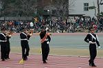 Dcim6629/DSC_3126