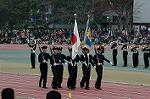 Dcim6629/DSC_3133