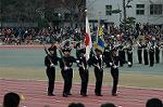 Dcim6629/DSC_3134