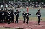 Dcim6629/DSC_3144