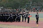Dcim6629/DSC_3145