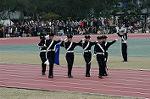 Dcim6629/DSC_3146