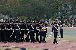 Dcim6629/DSC_3163