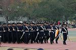 Dcim6629/DSC_3164