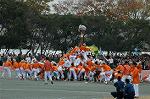 Dcim6630/DSC_3178