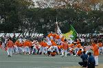 Dcim6630/DSC_3183