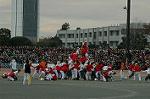 Dcim6630/DSC_3199