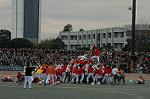 Dcim6630/DSC_3203