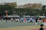 Dcim6630/DSC_3204