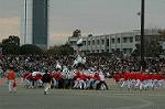 Dcim6630/DSC_3211