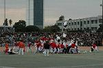 Dcim6630/DSC_3212