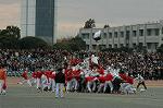 Dcim6630/DSC_3213